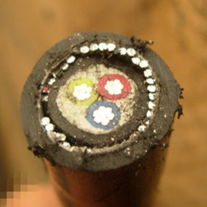 Dây dẫn nhôm 2/3 lõi cáp điện Dây thép bọc thép Swa Power
