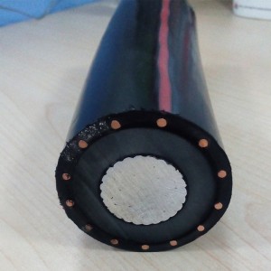 Cáp điện cách điện 22PE Xlpe Al / Cu Core XLPE với dây dẫn đồng tâm