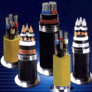 Tất cả các kích thước Cáp được bảo vệ điện áp cao 110KV cho truyền tải điện theo GB 11017, IEC60840