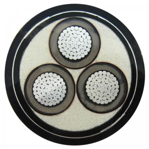 Cáp bọc thép 1-30KV 6 mm 3 lõi Swa IEC60502, Sans 1339, BS 6622, AS / NZS1429.1, NFC 33226, CSA C 68.5