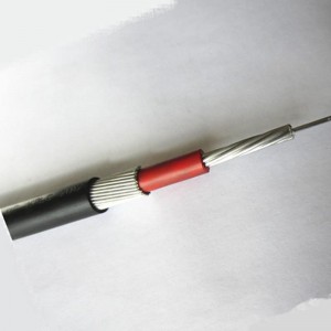 Cáp đồng tâm chia tách trên không 0,6 / 1KV 1x16 / 16mm2